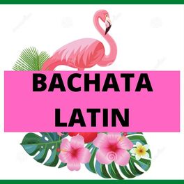 Album cover of Bachata Latin