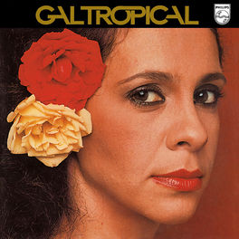 Album cover of Gal Tropical