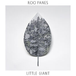 Album cover of Little Giant