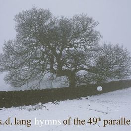 Album cover of Hymns of the 49th Parallel