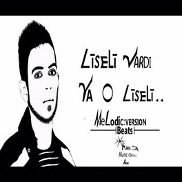 Album cover of Liseli Melodic Beat (feat. Murat Somuncu)