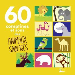 Album cover of 60 comptines et sons des animaux sauvages