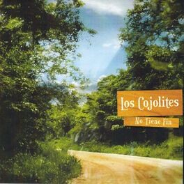 Album cover of No Tiene Fin
