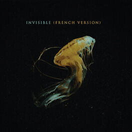 Album cover of Invisible (French Version)
