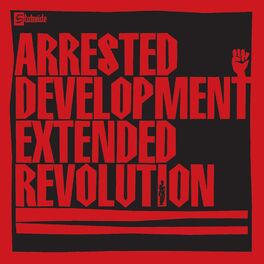 Album cover of Extended Revolution