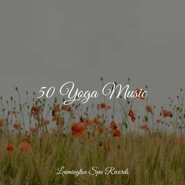 Album cover of 50 Yoga Music