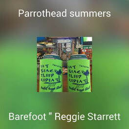 Album cover of Parrothead summers