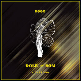 Album cover of Night Room