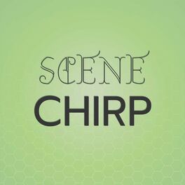 Album cover of Scene Chirp