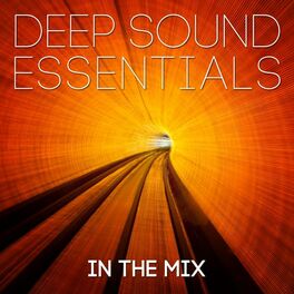 Album cover of Deep Sound Essentials in the Mix