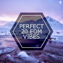 Album cover of Perfect 20 EDM Vibes