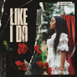 Album cover of Like I Do
