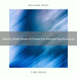 Album cover of Moody White Noise Of Forest For Refresh And Recharge