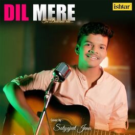 Album cover of Dil Mere Tu Deewana Hai