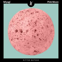 Album cover of Pink Moon