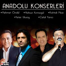 Album cover of Anadolu Konserleri