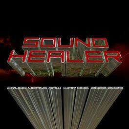 Album cover of Sound Healer (feat. Adan Naranjo)