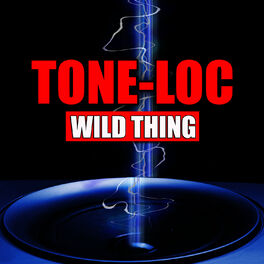 Album cover of Wild Thing (Re-Recorded / Remastered)