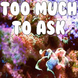 Album cover of Too Much To Ask (Tribute To Niall Horan)