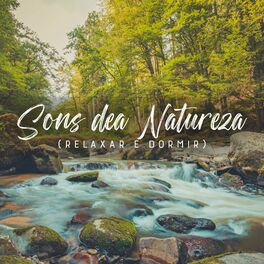 Album cover of Sons dea Natureza (Relaxar e Dormir)