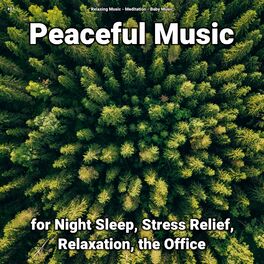 Album cover of #01 Peaceful Music for Night Sleep, Stress Relief, Relaxation, the Office