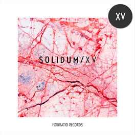 Album cover of Solidum XV