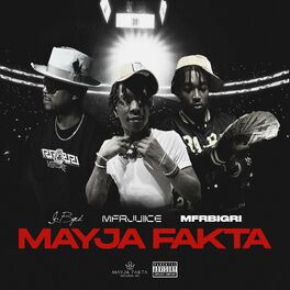 Album cover of Mayja Fakta