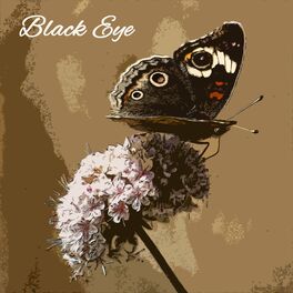 Album cover of Black Eye