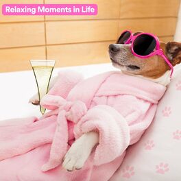 Album cover of Relaxing Moments in Life