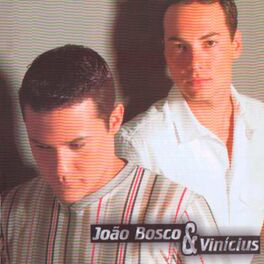 Album cover of João Bosco & Vinícius