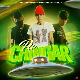 Album cover of Pa Chingar