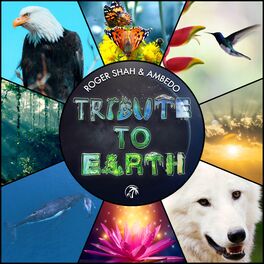 Album cover of Tribute to Earth