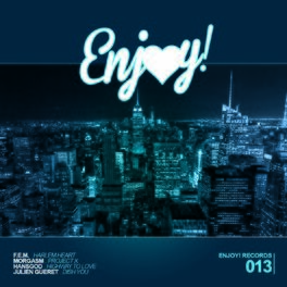 Album cover of Enjoy! 013