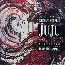 Album cover of Stefan Pelzl's Juju