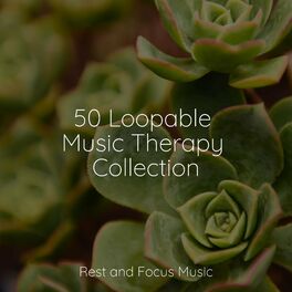 Album cover of 50 Loopable Music Therapy Collection