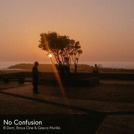 Album cover of No Confusion