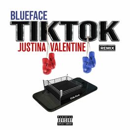 Album cover of TikTok (Remix)