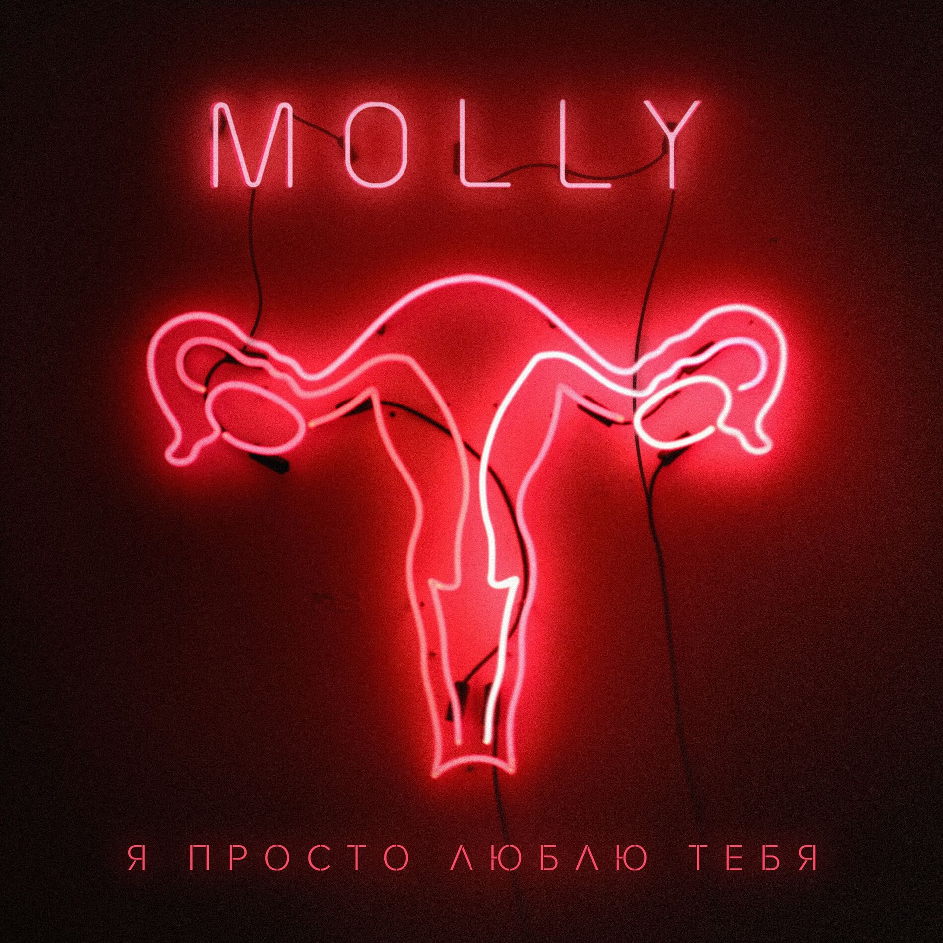 Molly: альбомы, песни, плейлисты | Слушайте на Deezer