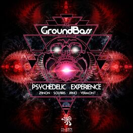 Album cover of Psychedelic Experience