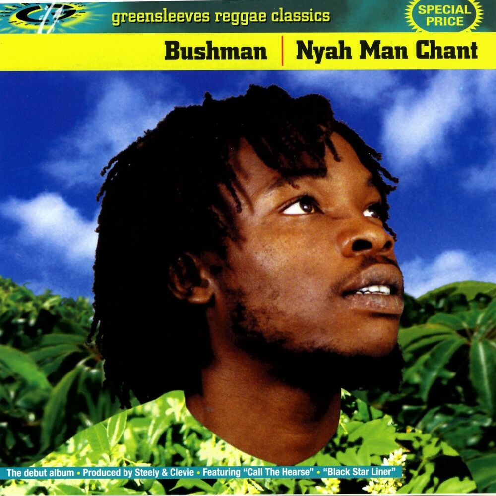 Bushmen radio mix. Bushman певец. Bushman альбомы. Bushman no 1 else. Reggae 2000 poor people.