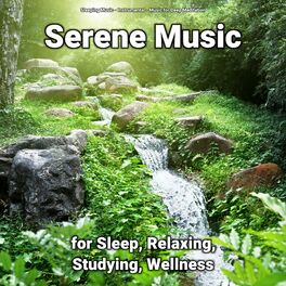 Album cover of #01 Serene Music for Sleep, Relaxing, Studying, Wellness