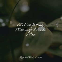 Album cover of 50 Comforting Massage Music Mix