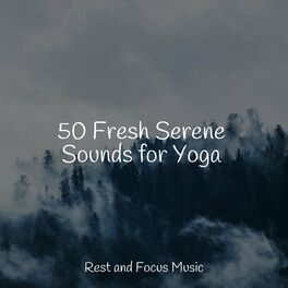 Album cover of 50 Fresh Serene Sounds for Yoga