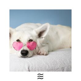 Album cover of Dogs Sleepful Sounds of Rain