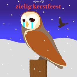 Album cover of Zielig Kerstfeest