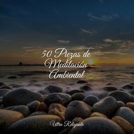 Album cover of 50 Piezas de Meditación Ambiental