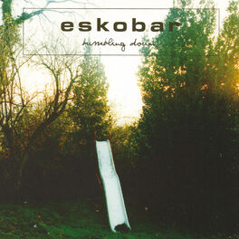 Album cover of Tumbling Down