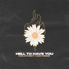 Album cover of HELL TO HAVE YOU