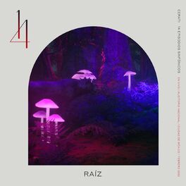Album cover of Raíz (Sinfónico en Vivo)