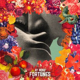 Album cover of Fortunes